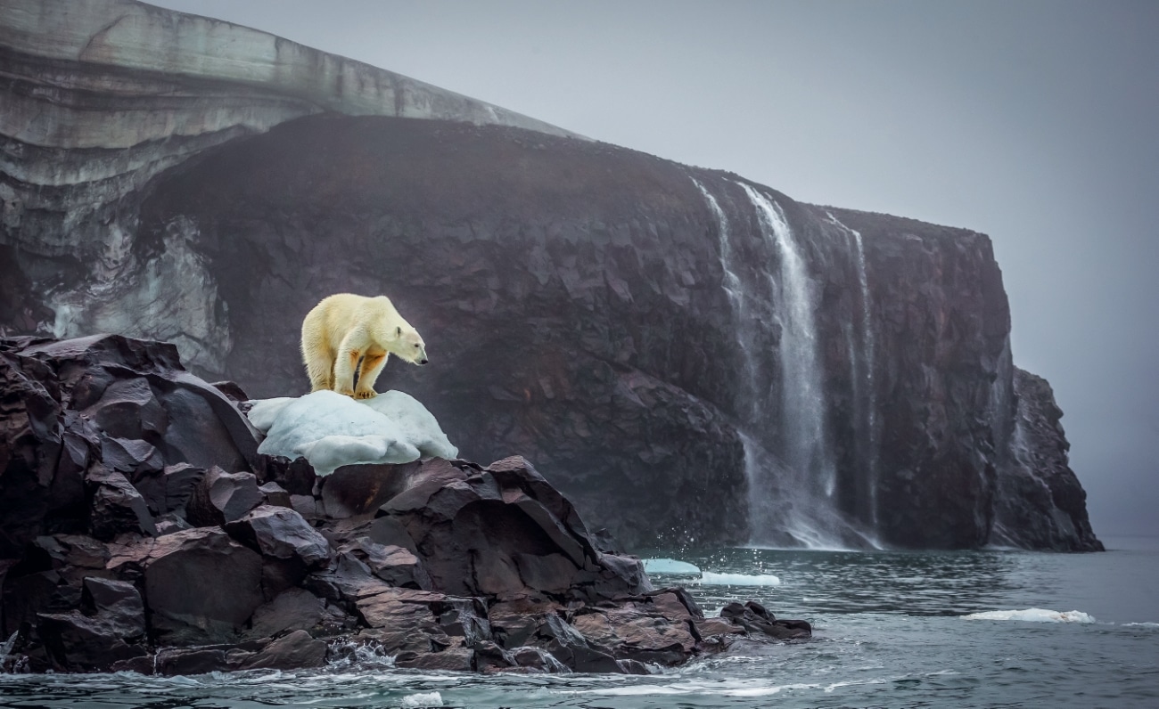 Bi-Polar by Cory Richards