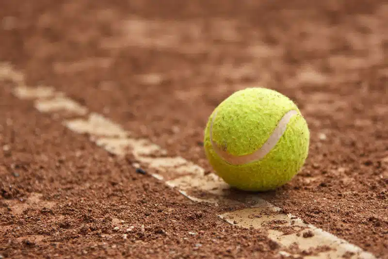 Dog observes tennis match and reacts in sync with the audience