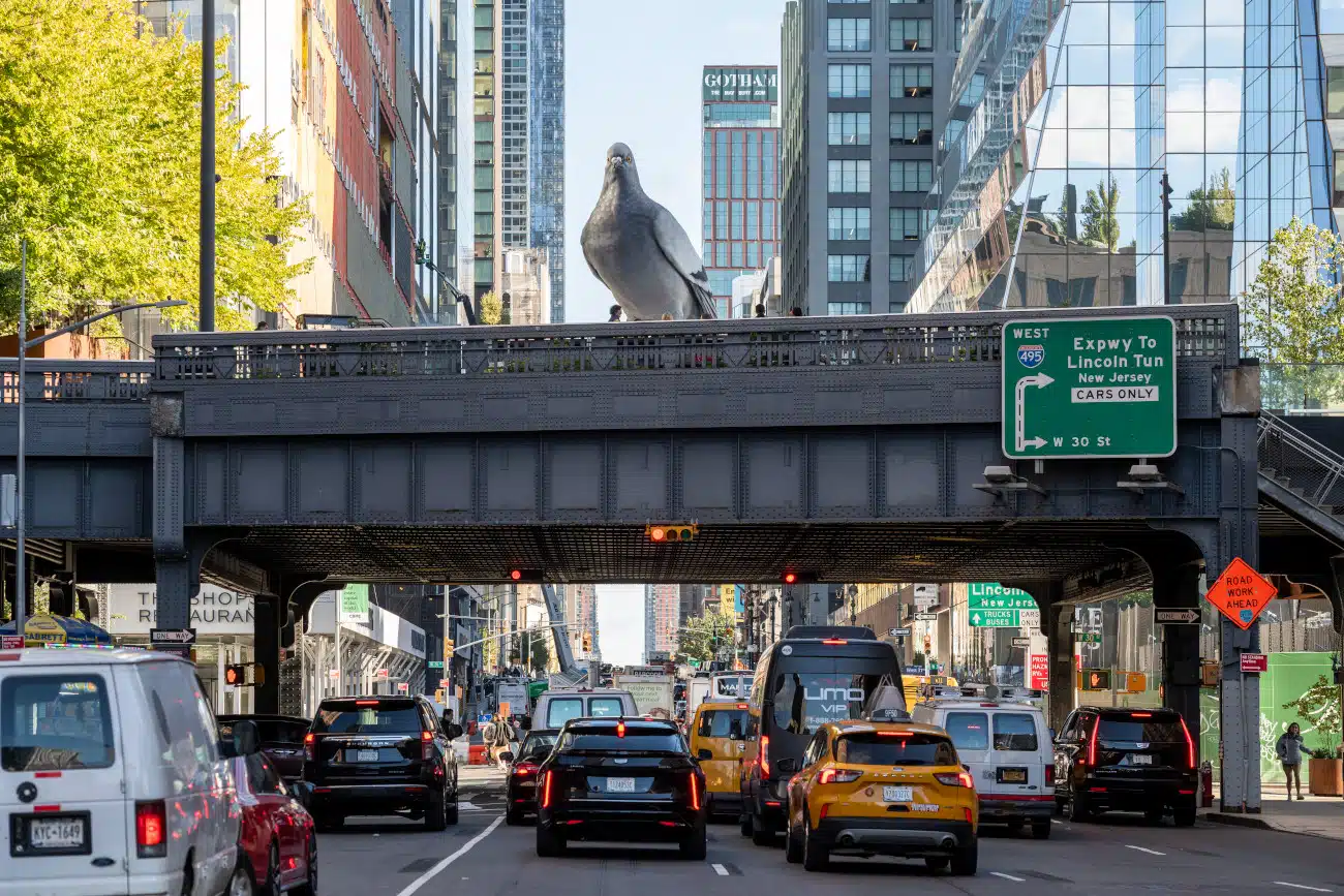 Pigeon sculpture perched atop the High Line with cars driving underneath