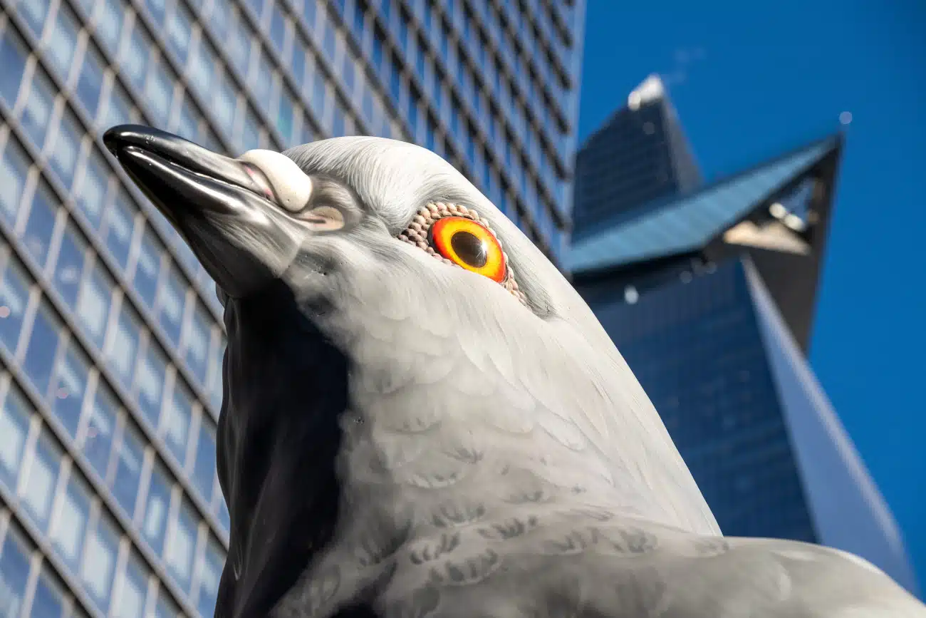 Detail of Pigeon sculpture perched atop the High Line