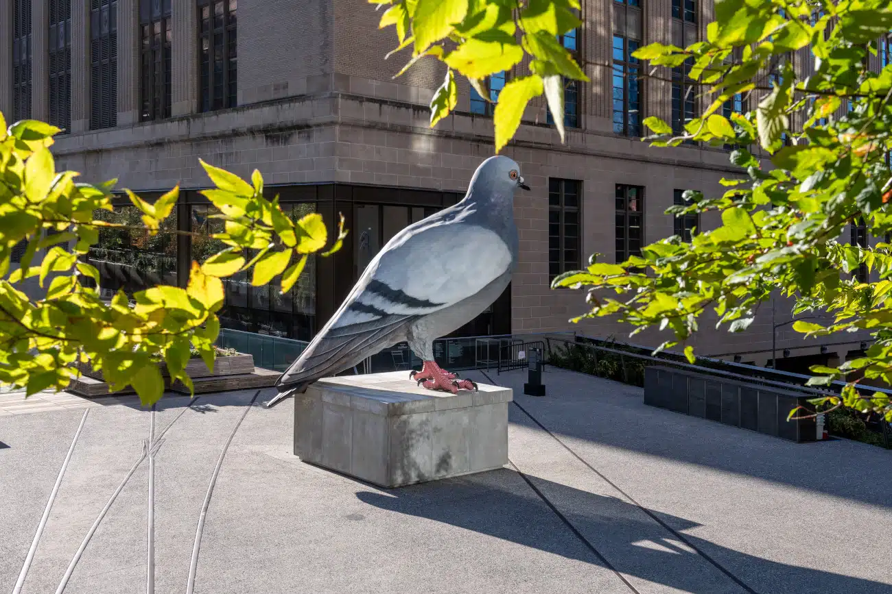 Pigeon sculpture perched atop the High Line