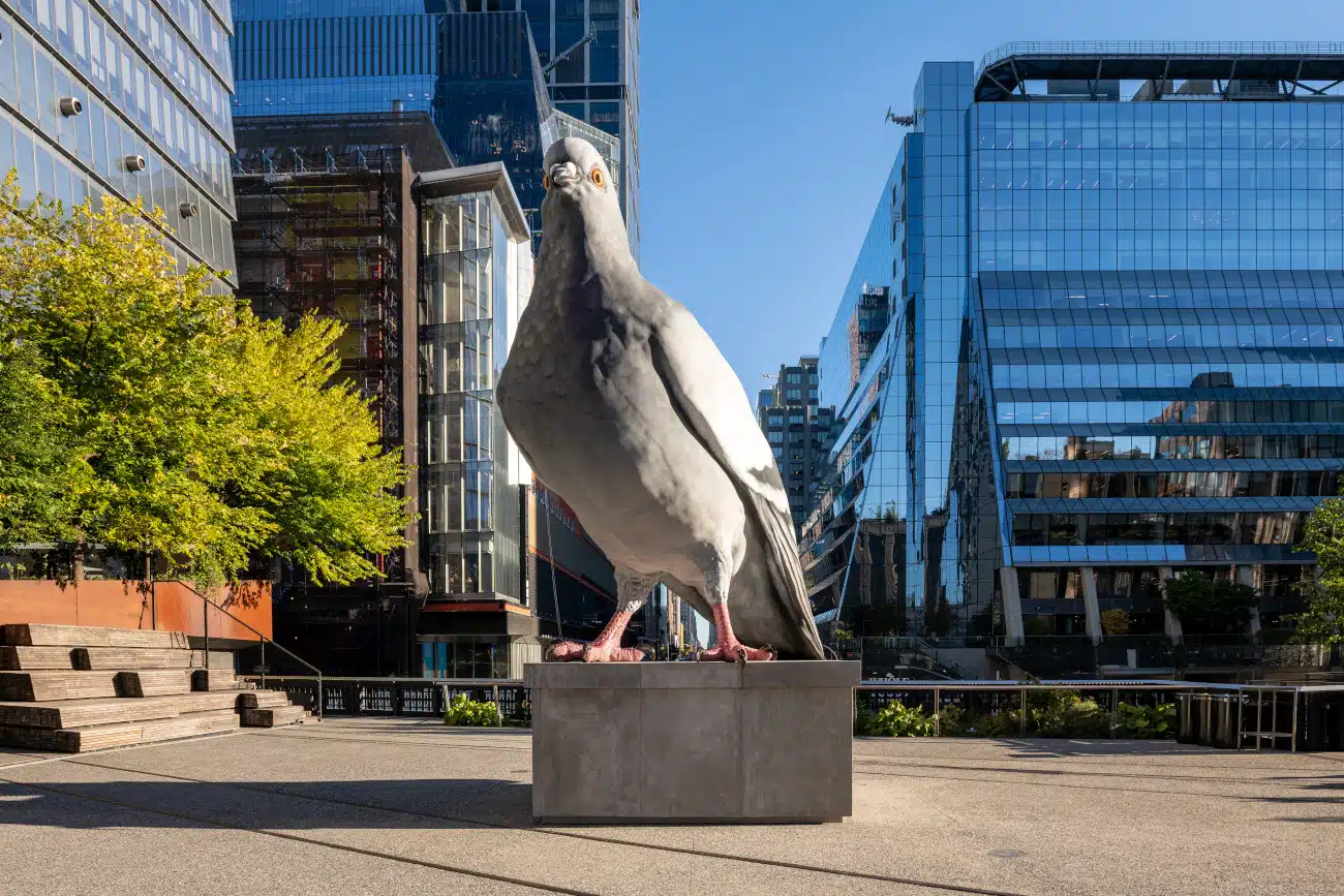 Pigeon sculpture perched atop the High Line