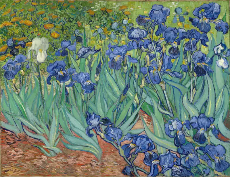 "Irises" by Vincent Van Gogh