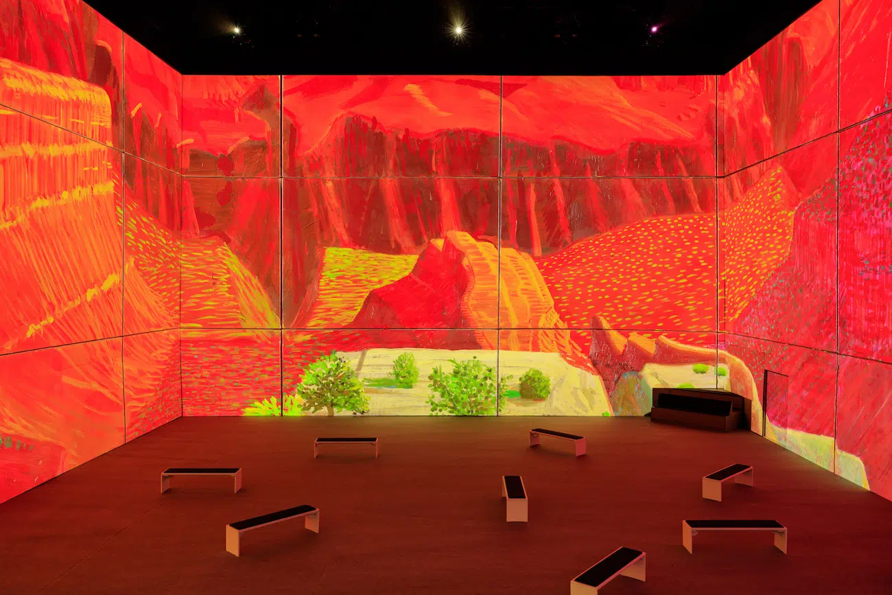 Bigger & Closer exhibition by David Hockney