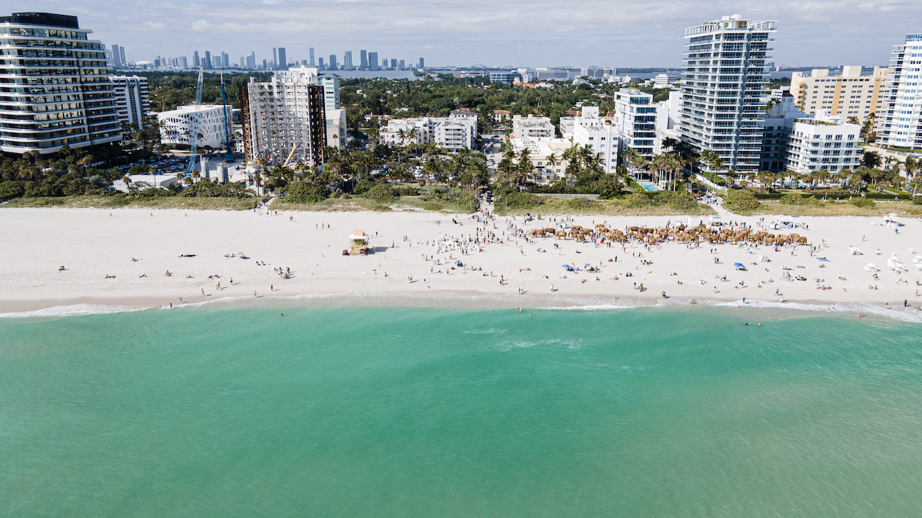 Miami Reef Star by Carlos Betancourt and Alberto Latorre