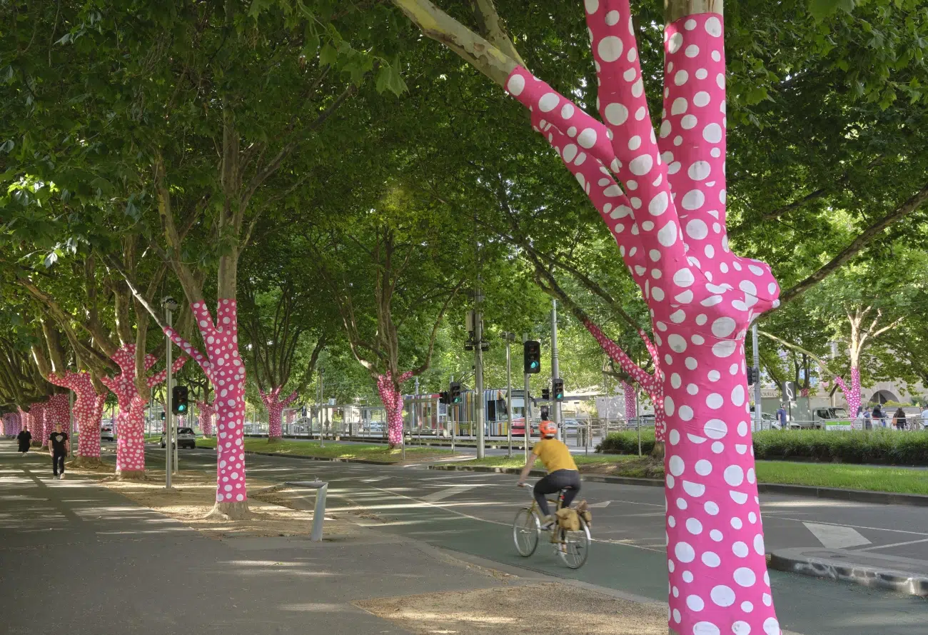 Yayoi Kusama at NGV Melbourne