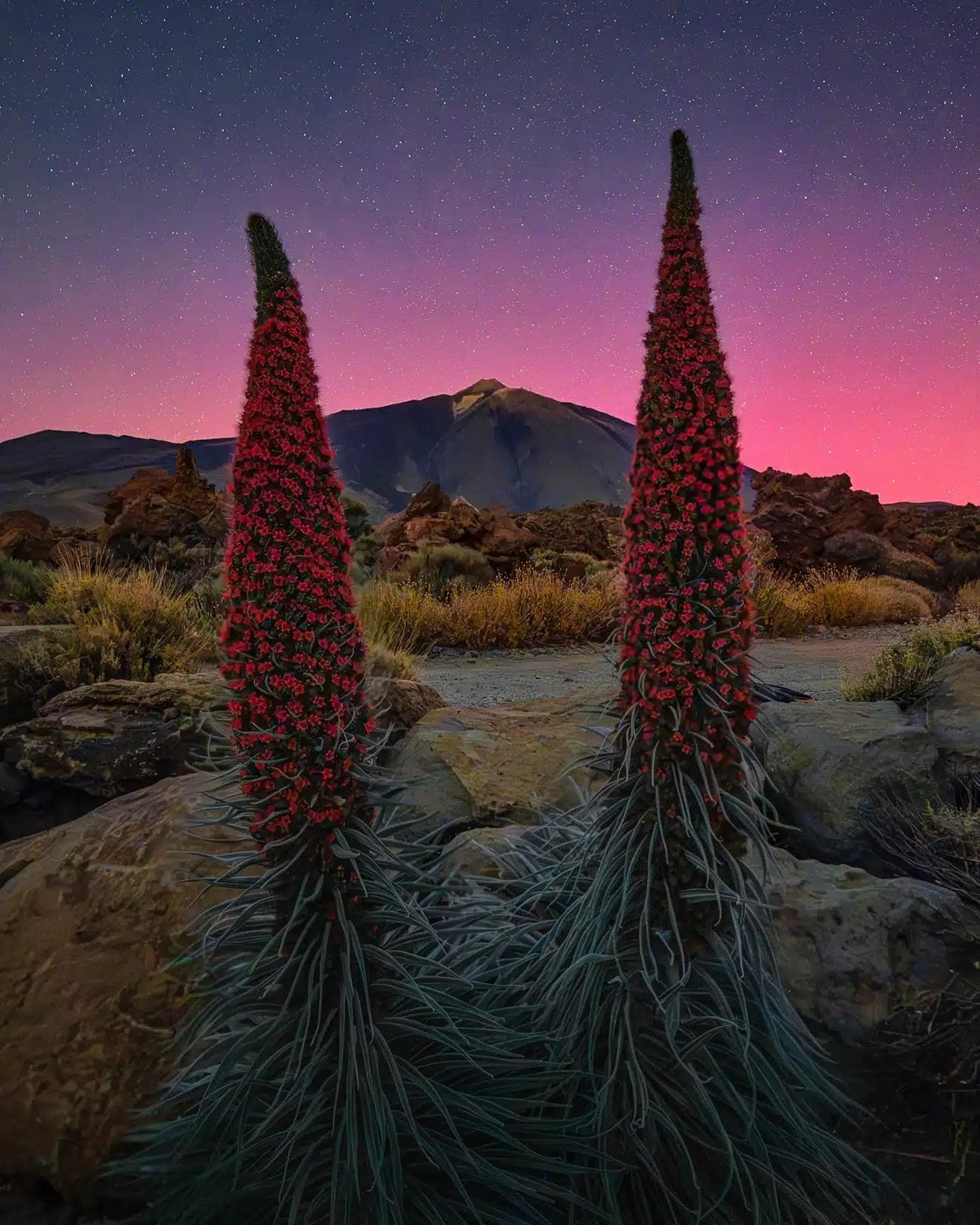 Aurora at the Teide National Park in Tenerife