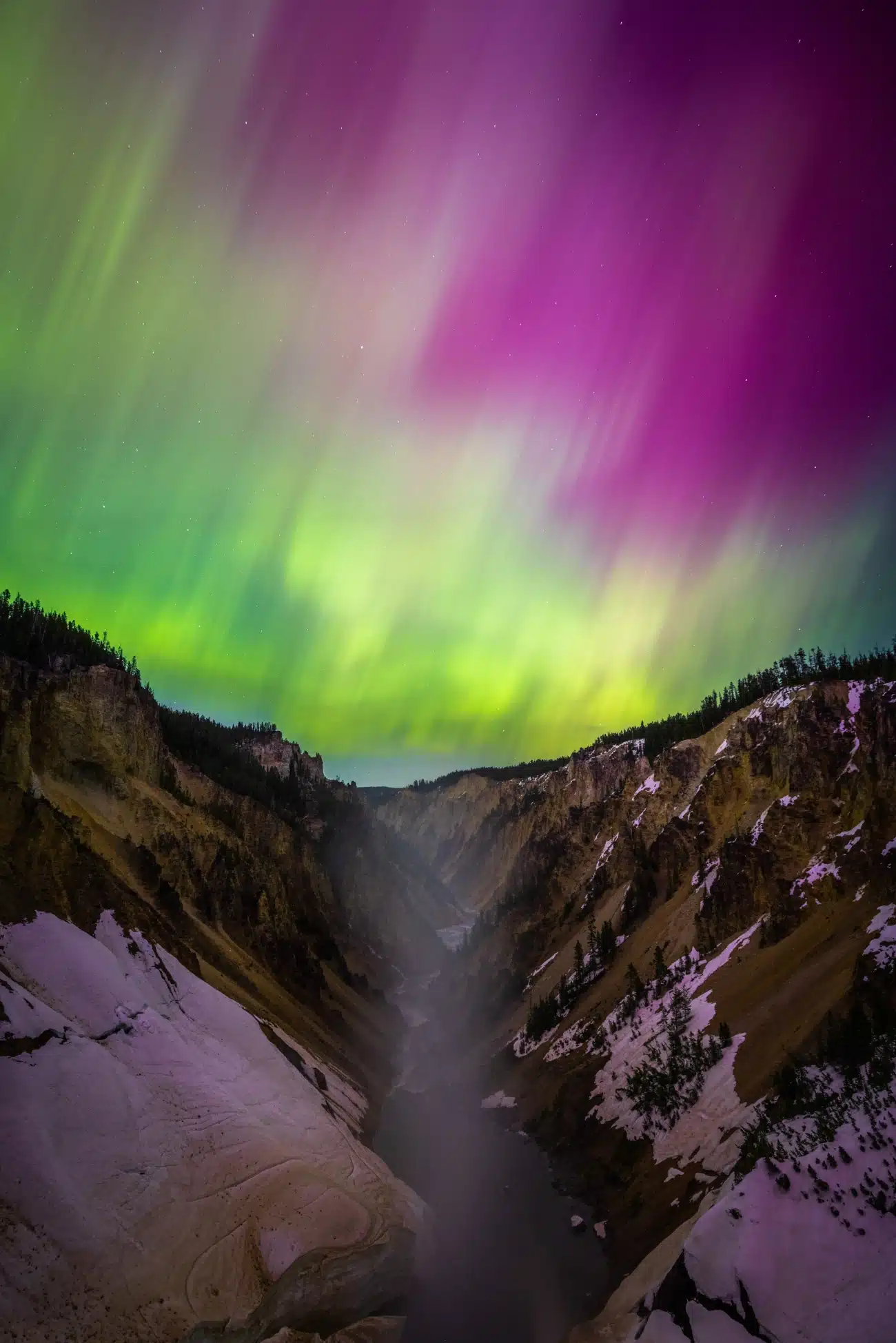 Northern Lights in Yellowstone