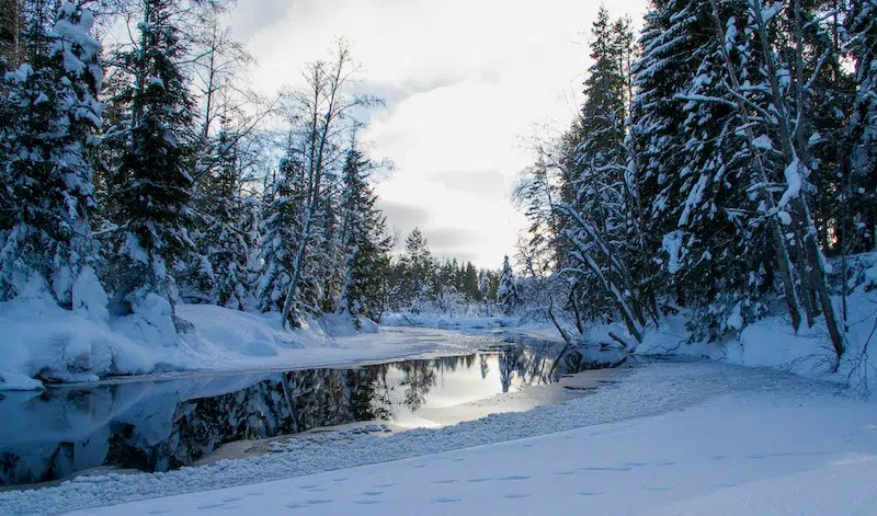 Swedish man survived in a snowed-in car for 60 days