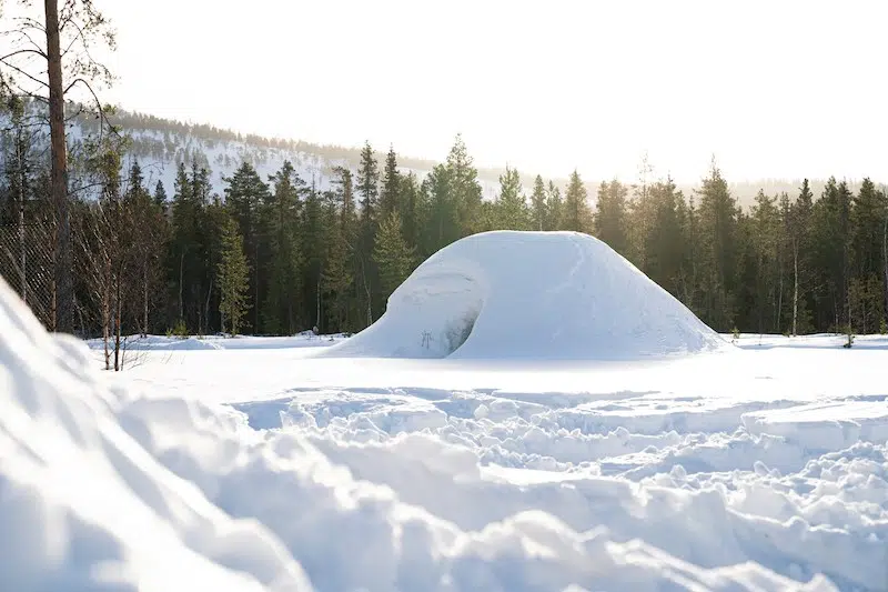 Swedish man survived in a snowed-in car for 60 days