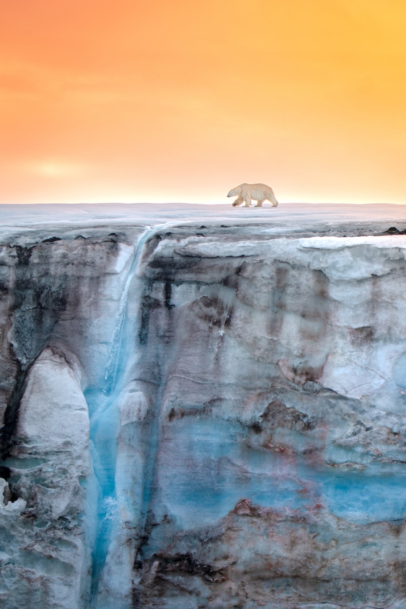 Polar bear walking toward the edge of a waterfall