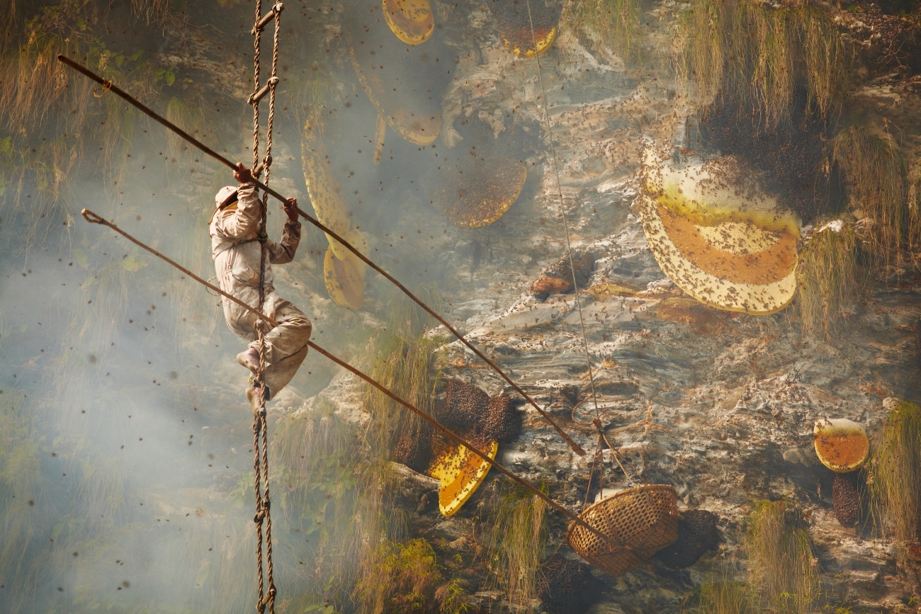 Honey hunters in Nepal by Andrew Newey