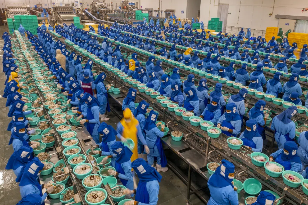 Workers at Avanti Frozen Foods in India deshelling shrimp