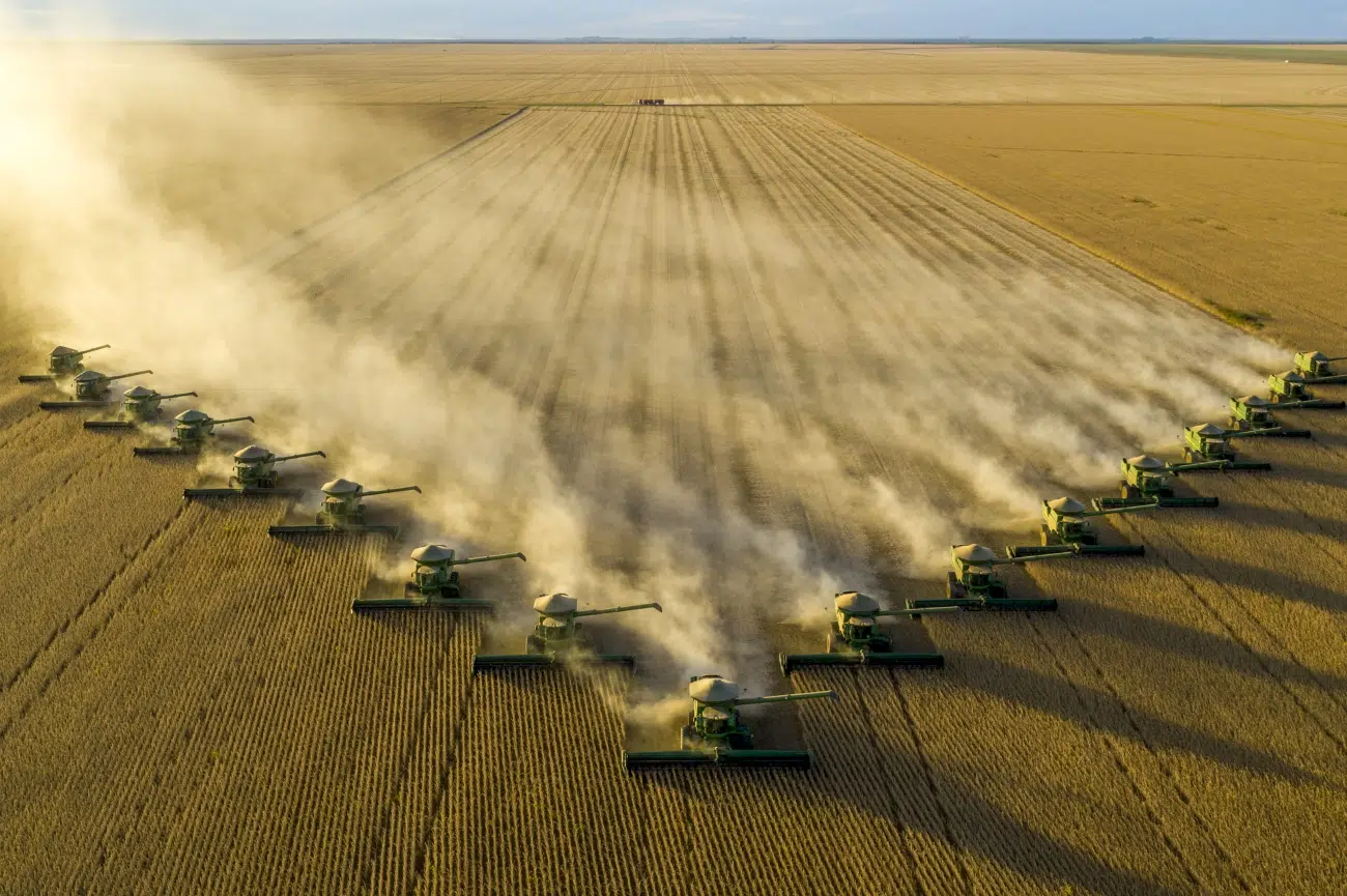 Soybean harvest, Fazenda Piratini, Bahia, Brazil.