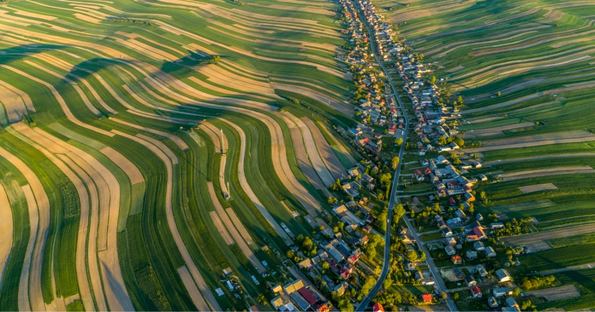 Eye-Opening Photos Reveal Where World’s Food Comes From and What It Takes to Feed the Planet