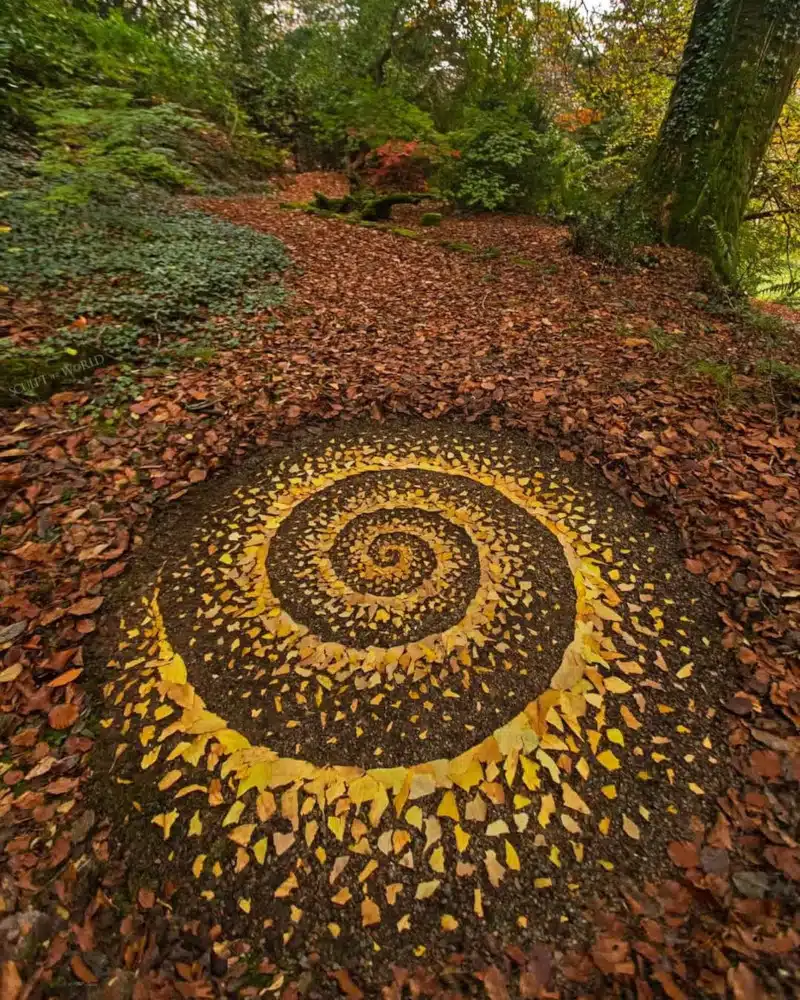 Land Art with Leaves by Jon Foreman