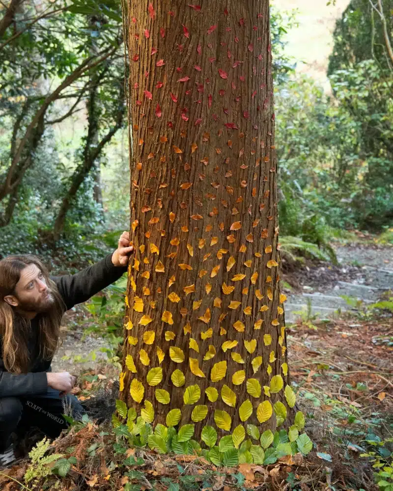 Land art on tree by Jon Foreman