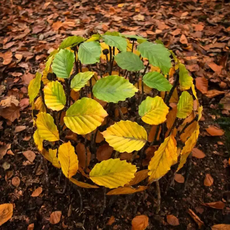 Ball of leaves land art by jon foreman