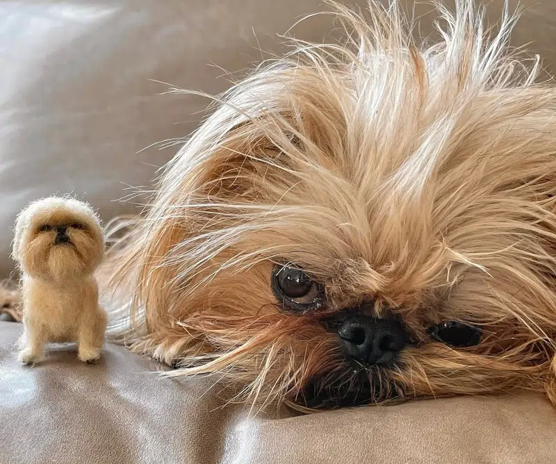 Realistic needle felting pet portraits by Little Felted Friends