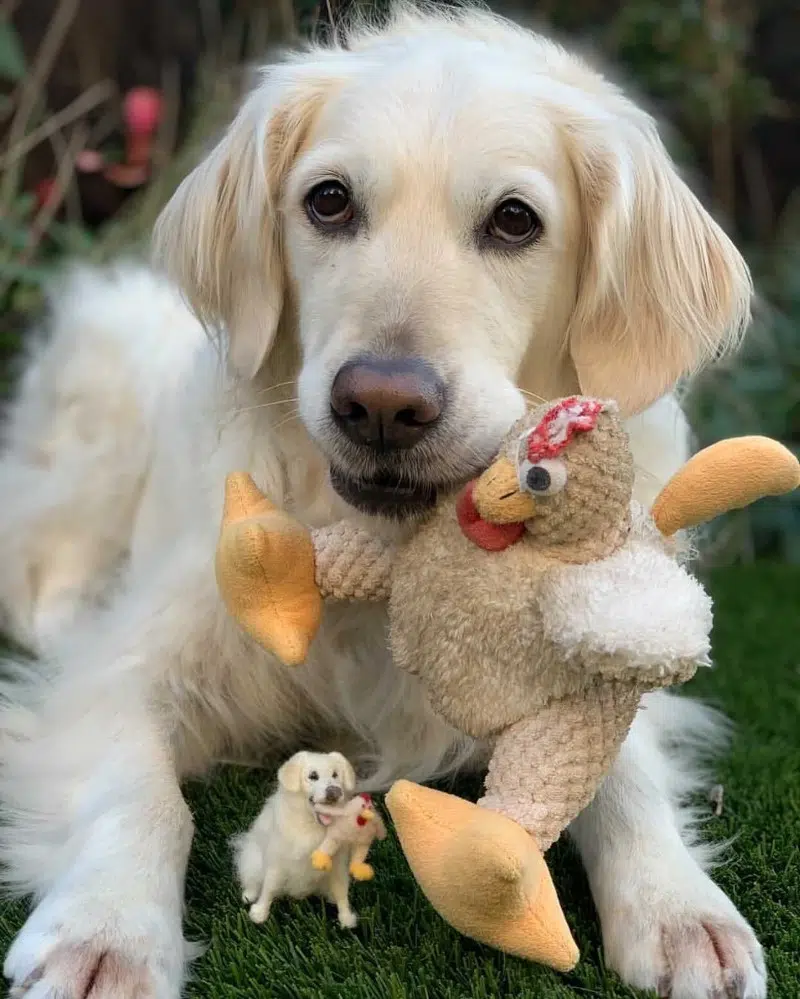 Realistic needle felting pet portraits by Little Felted Friends