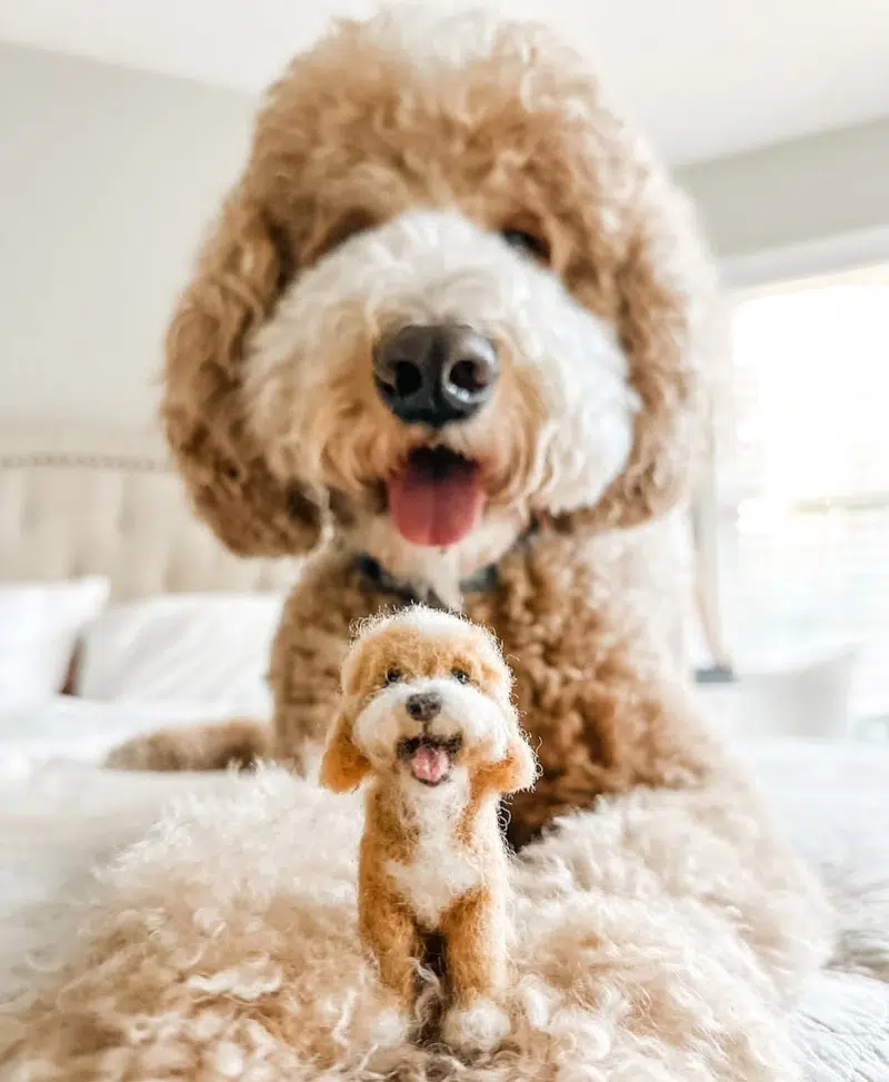 Realistic needle felting pet portraits by Little Felted Friends