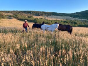 Utah Horse Trainers Rides 6,000 Miles Across the U.S.