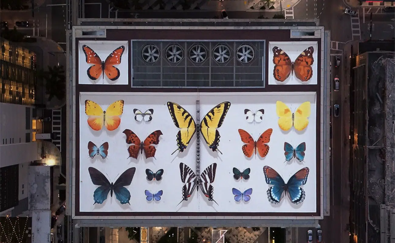 butterfly mural by Mantra on Miami rooftop