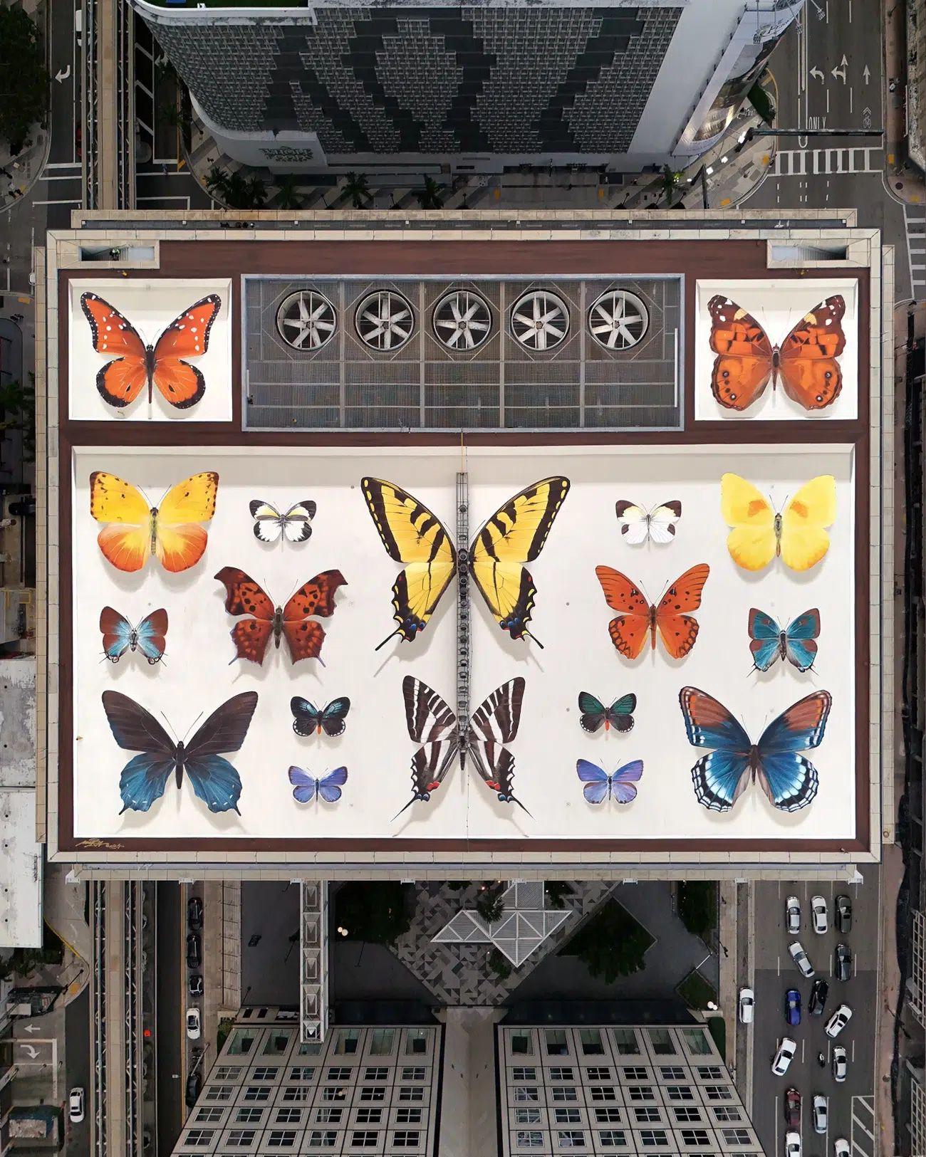 butterfly mural by Mantra on Miami rooftop