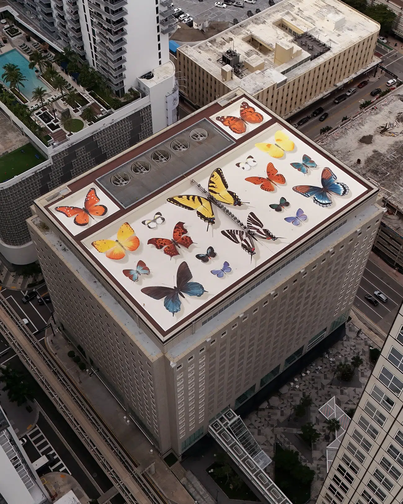 butterfly mural by Mantra on Miami rooftop