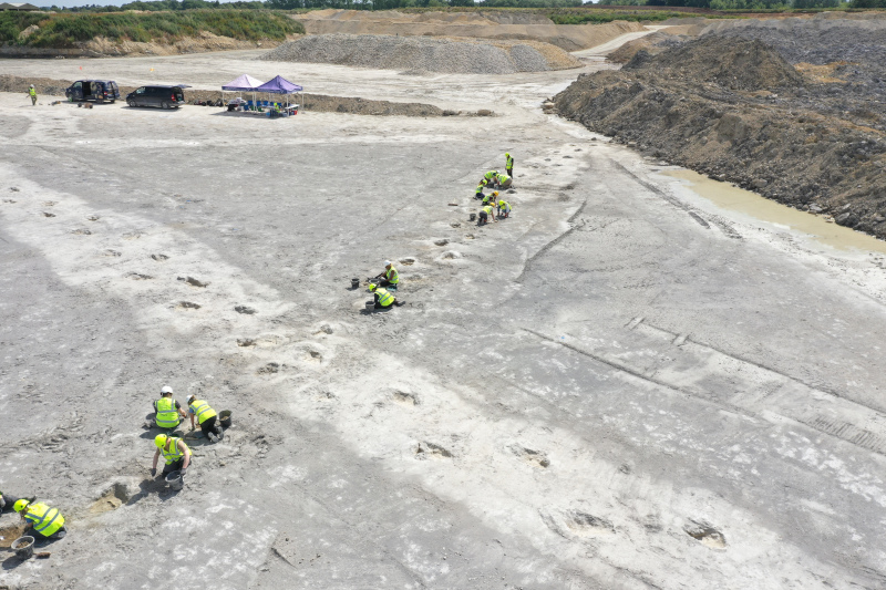 Dinosaur footprints excavation in the UK