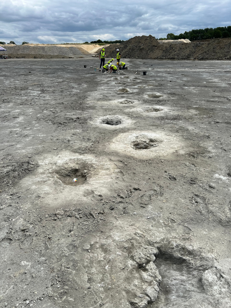 Dinosaur footprints excavation in the UK