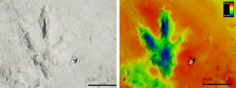 Dinosaur footprint and heat map