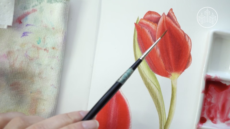 Botanical Watercolor Class on My Modern Met Academy