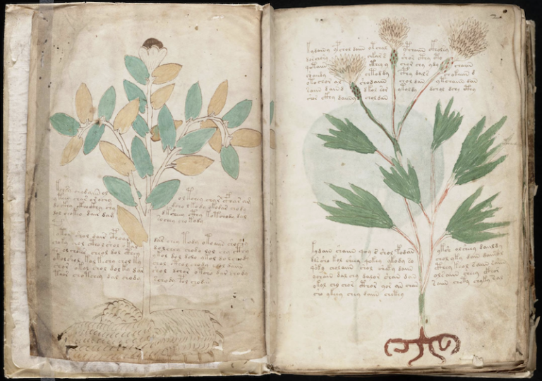 The Undecipherable Script of the 15th-Century Voynich Manuscript