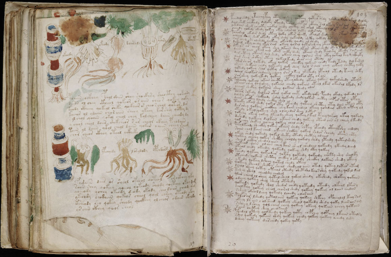 Voynich Manuscript