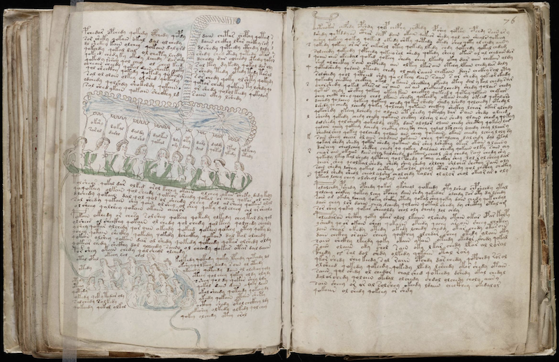 Voynich Manuscript