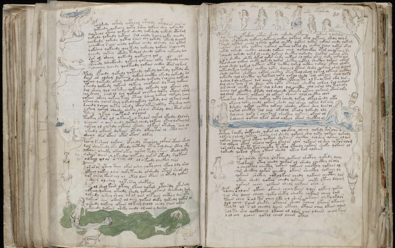 Voynich Manuscript