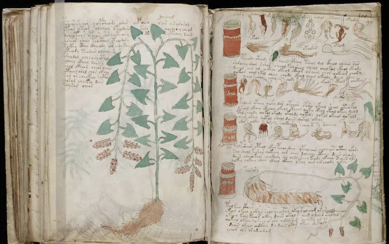 Voynich Manuscript