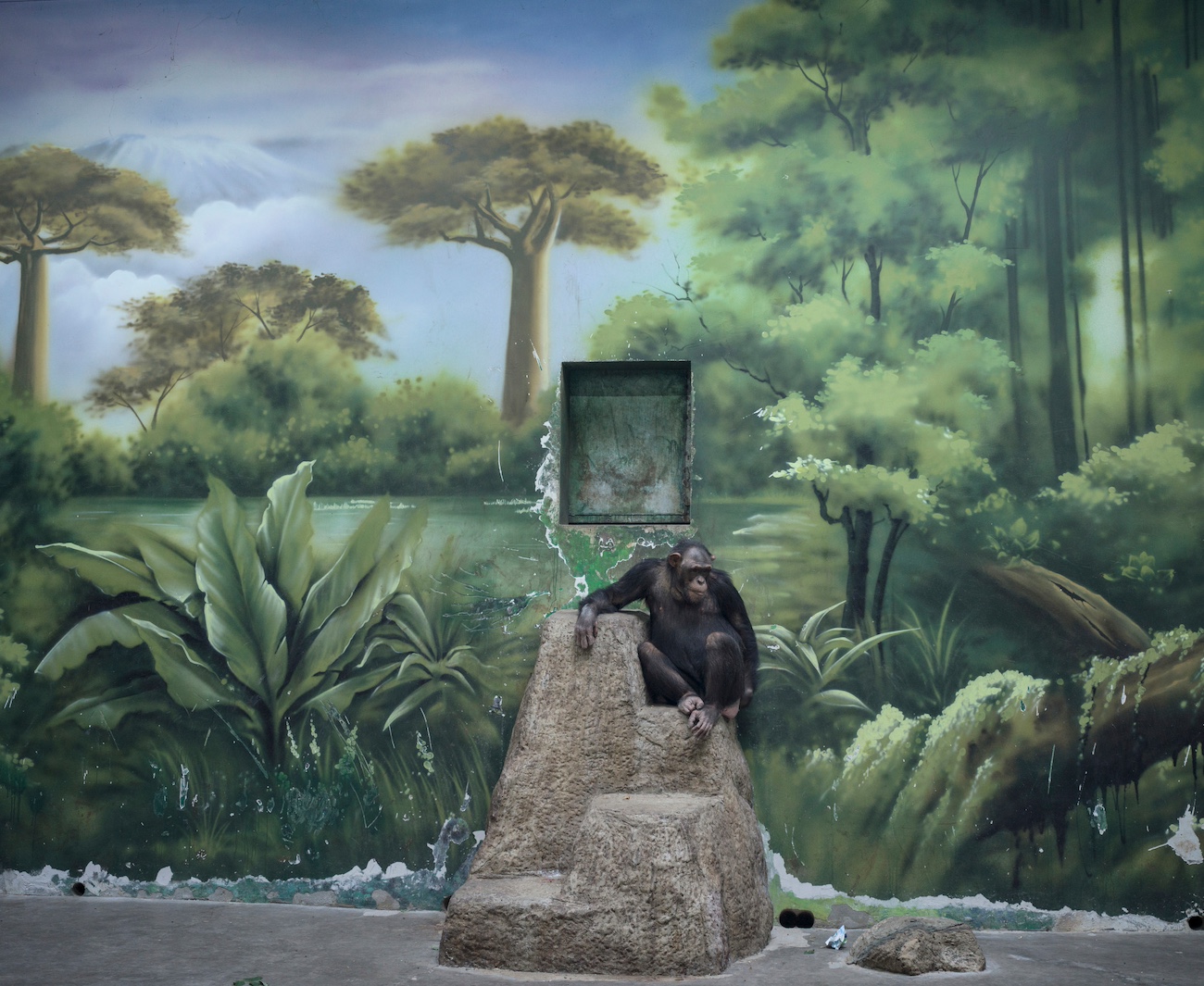 Sony World Photography Awards 2025 Professional Competition
