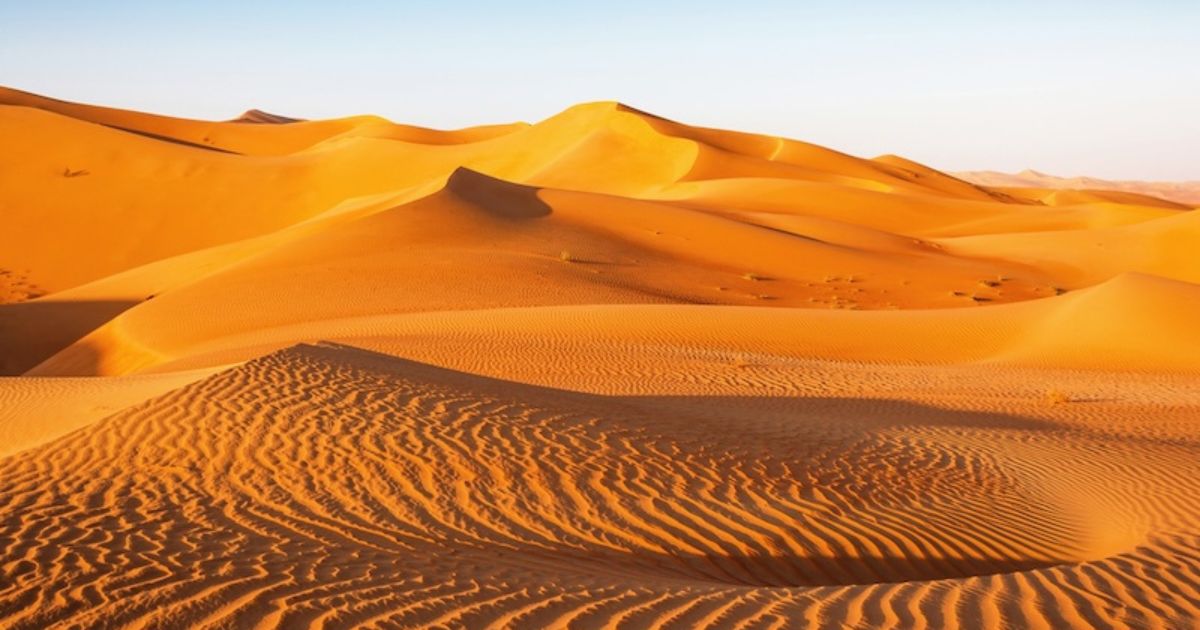 mymodernmet.com