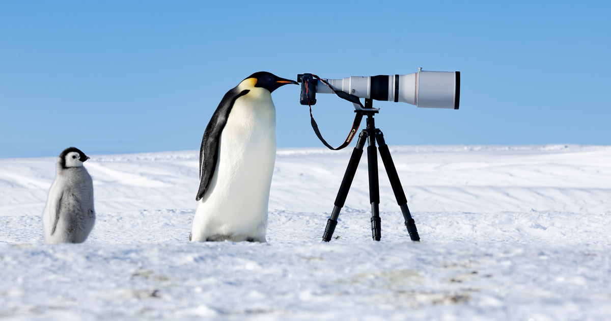 Incredible Winning Images of The Nature Photography Contest 2024