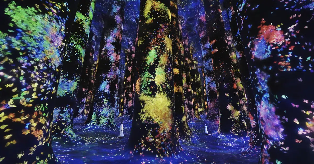 teamLab Brings Ever-Changing Art Installations to Abu Dhabi