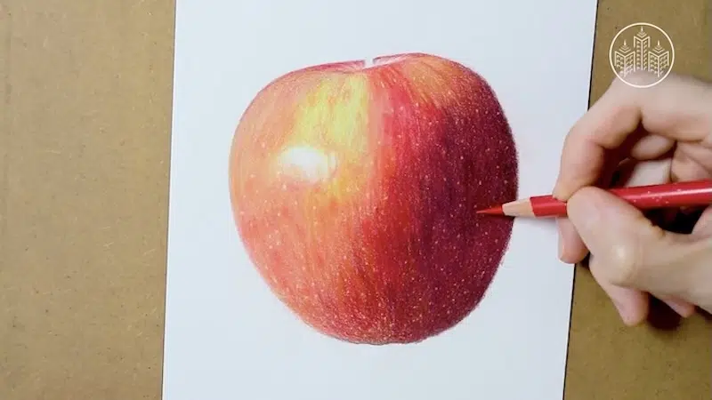 Beginner's guide to colored pencils