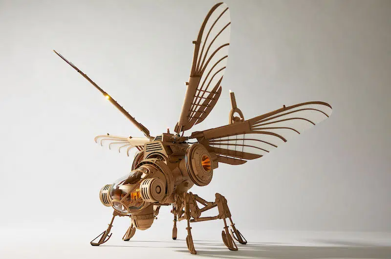 Greg Olijnyk Cardboard Artist