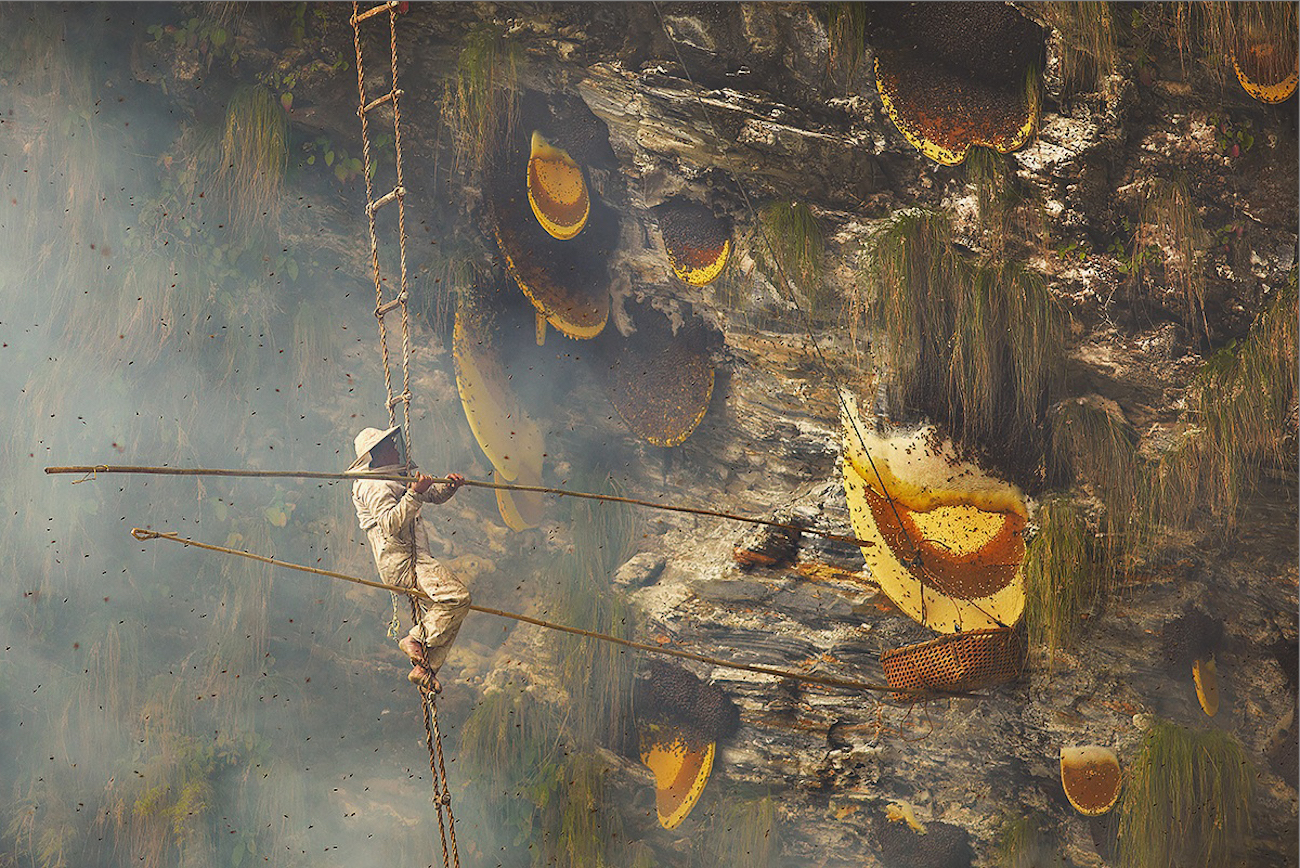 Andrew Newey Honey Hunters of Nepal