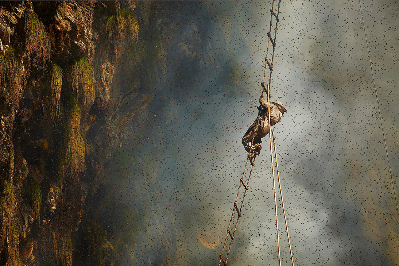 Andrew Newey Honey Hunters of Nepal