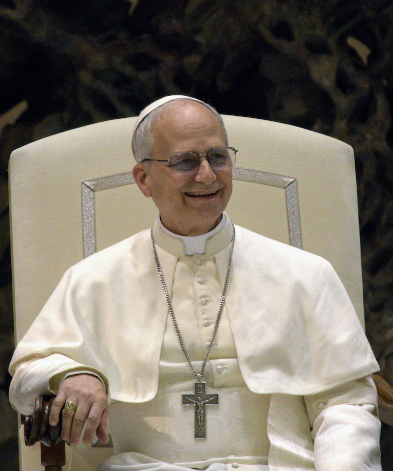 Pope Leo XIV has unveiled his official portrait, coat of arms, and signature