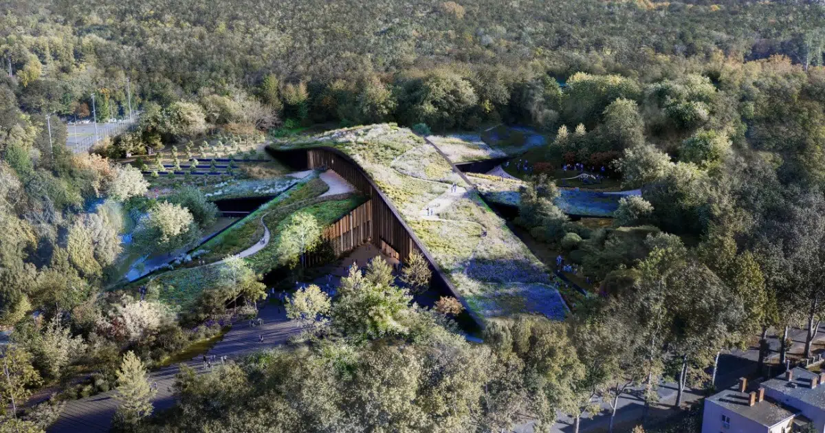 Subterranean Natural History Museum Is Draped With Landscaped Ribbons That Blend Into the Forest
