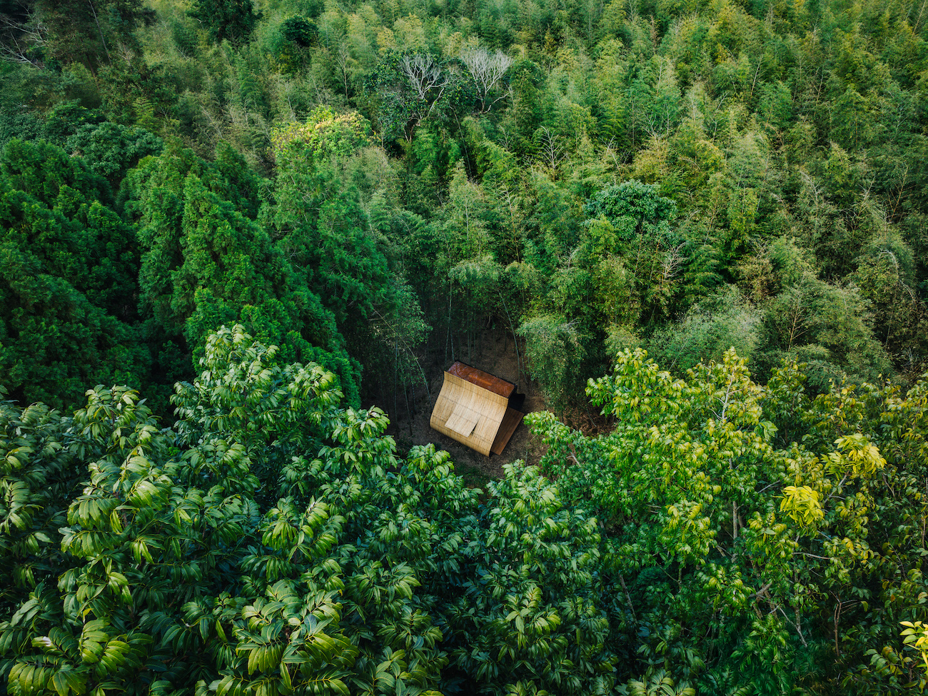 Proyecto de cabina de bambú: albóndigas de arroz pegajosas del artista taiwanés Cheng Tsung Feng