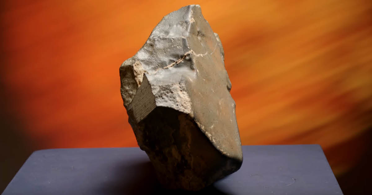 Largest Martian Meteorite Found on Earth Sells For $4.3 Million